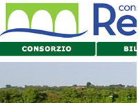 bonifica renana molinella