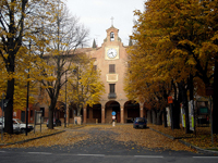 selva malvezzi