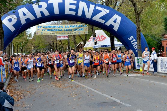 la vallazza 2013